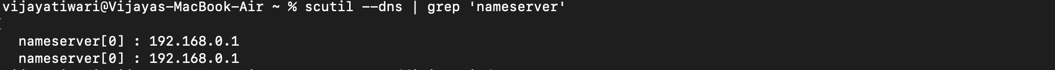 Terminal showing DNS configuration